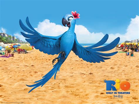 Jewel In Rio Movie Wallpapers Hd Wallpapers Id 9526