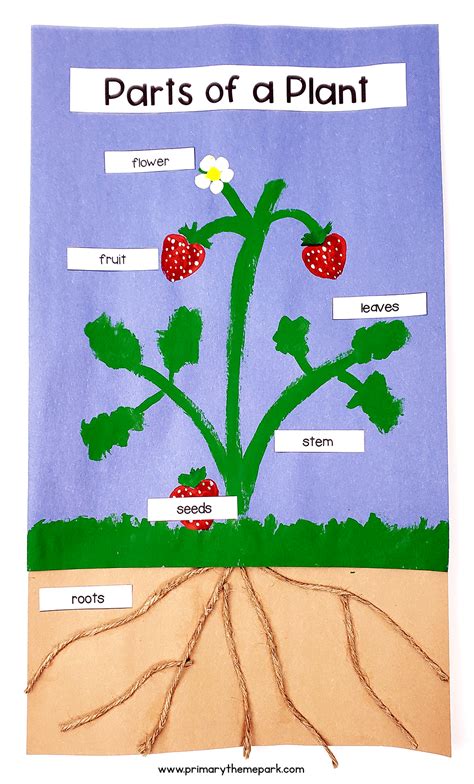 Parts Of A Plant For Kids Cut And Paste