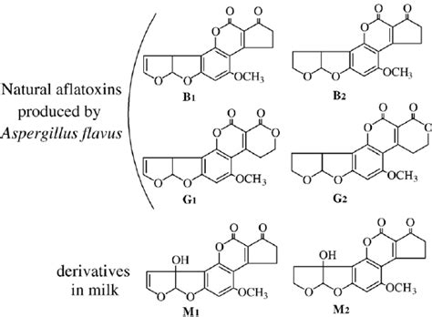 Chemical Structures Of Aflatoxins Download Scientific Diagram