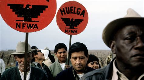Behind The Story Can Ufw Make A Comeback The New York Times
