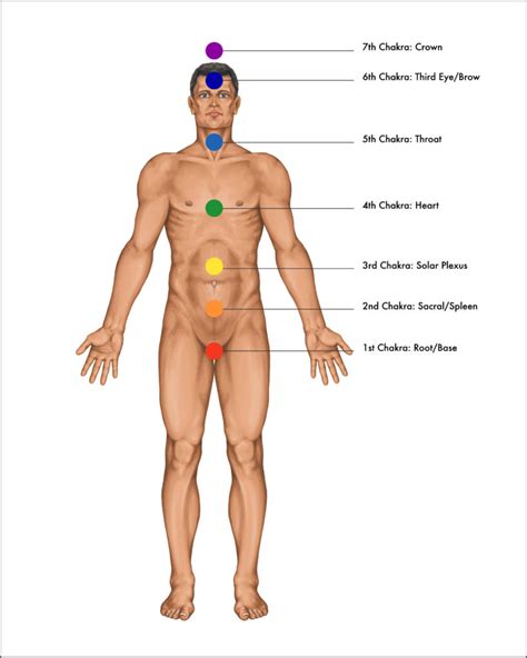 Life Force Energy And Chakras The Academy Of Systematic Kinesiology