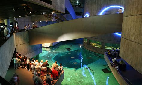National Aquarium In Baltimore Inner Harbor Md 03 Flickr