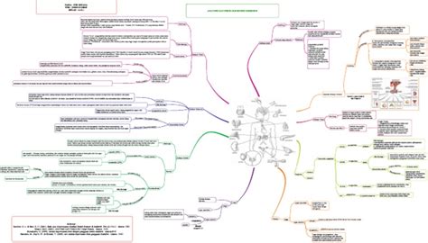 Bismillahirrohmannirohim Mind Map Sistem Endokrin Fixs