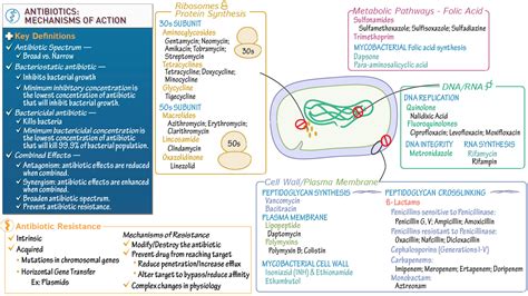 Pharmacology Antibiotics Mechanisms Ditki Medical And Biological Sciences