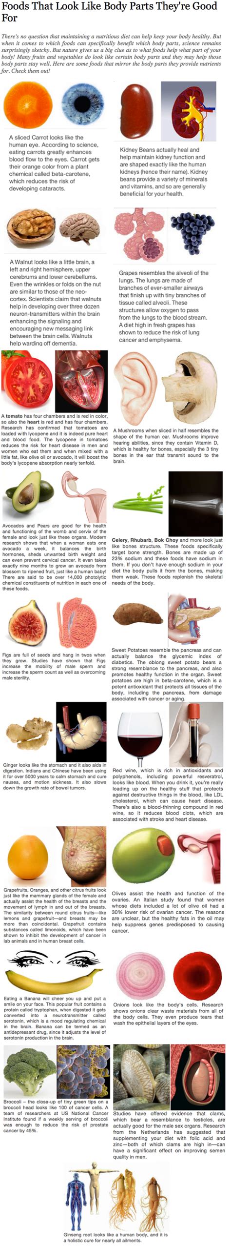 Foods That Look Like Body Parts That Theyre Good For Fiti