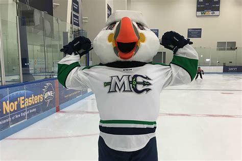 Maine Mariners Introduce New Mascot Beacon The Puffin