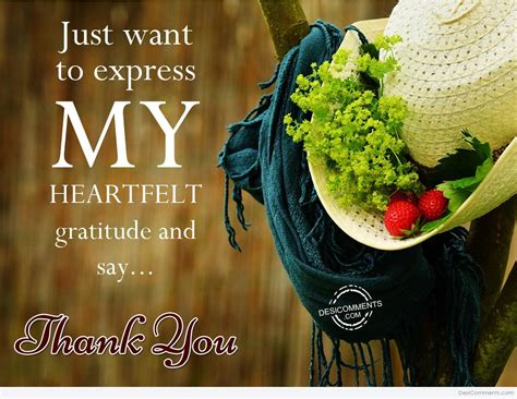 Just Want To Express My Heartfelt Gratitude And Say