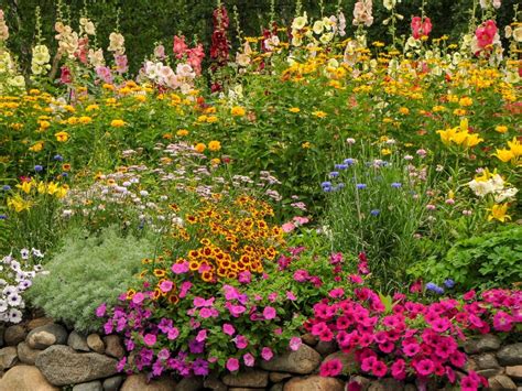 10 Must Have Cottage Garden Flowers