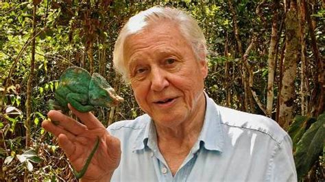 David attenborough was born in isleworth, middlesex, in 1926. 10 Facts about David Attenborough | Fact File