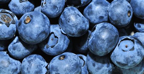Why Are Blueberries So Good For You Freshmagazine