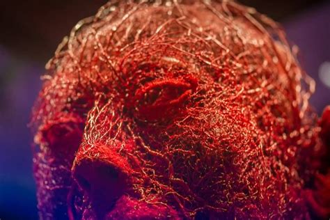 Your blood vessels and major arteries carry blood throughout the body and supply it to vital organs and tissue. WOW. "Blood has a long road to travel: Laid end to end ...