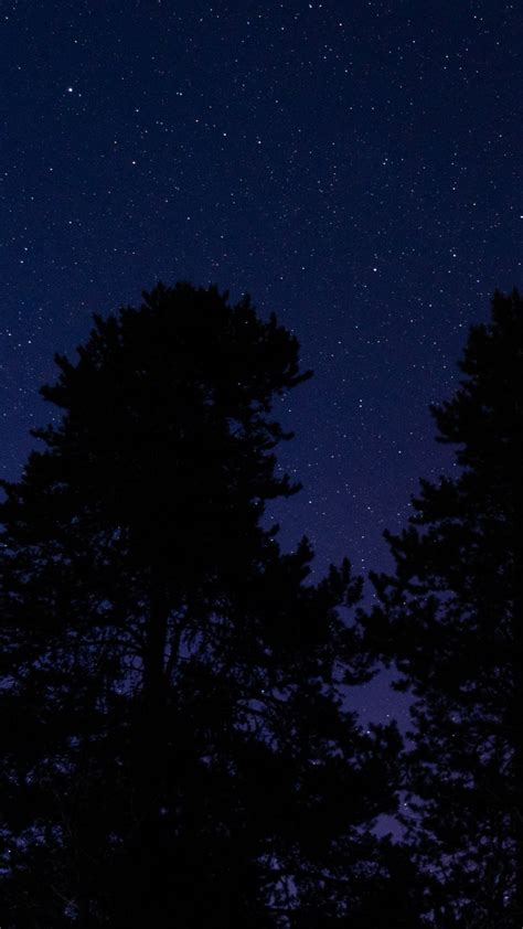 Звездное небо ночное фото Обои 1080x1920 Iphone 6 Plus 7 Plus 8 Plus