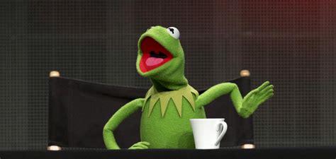 Kermit Puppeteer Fired Otago Daily Times Online News