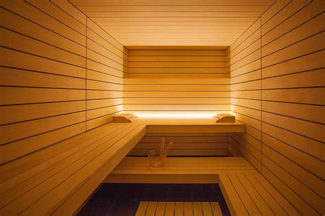 Diy Dry Sauna Plans 29 Crazy Diy Sauna Plans Ranked Mymydiy Inspiring