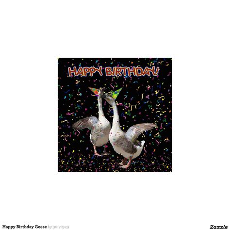 Happy Birthday Geese Zazzle