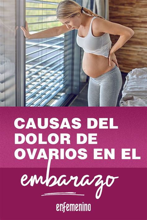 Dolor De Ovarios E Inflamaci N Abdominal Causas Y Tratamientos Universe Rant