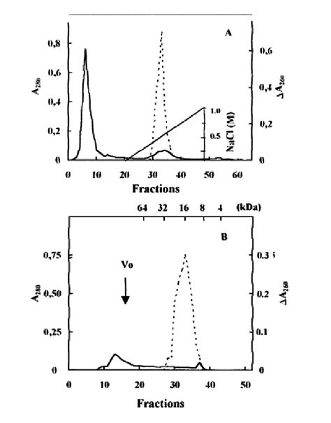 Cm Cellulose Chromatography Of The Ammonium Sulfate Precipitated