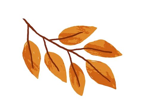 Premium Vector Gold Autumn Leaves On Ash Tree Branch Sprig With
