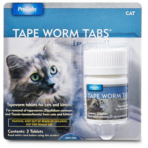 Best Cat Dewormer Liquid Cat Meme Stock Pictures And Photos