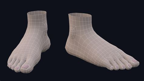 Artstation Foot For Character Basemesh Low Poly 3d Model Resources