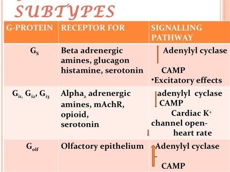 Drug Receptors In Pharmacology