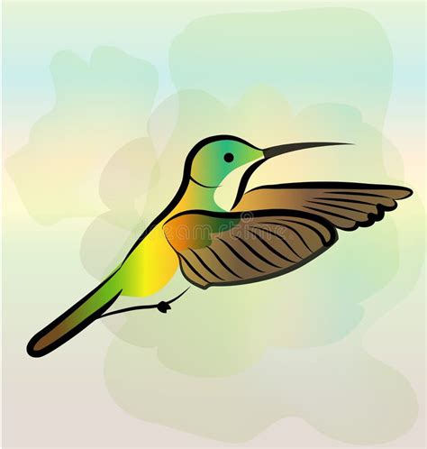 Hummingbird Flying Vector Stock Vector Illustration Of Feather 120732766