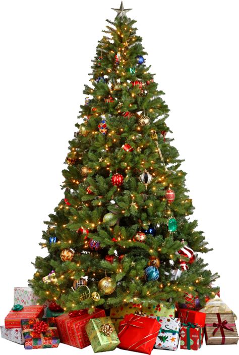 To view the full png size resolution click on any of the below image thumbnail. Traditional Christmas Tree with Gifts PNG Image - PurePNG ...