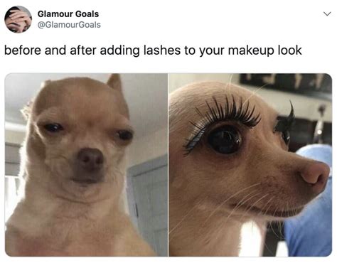 the best makeup memes memedroid