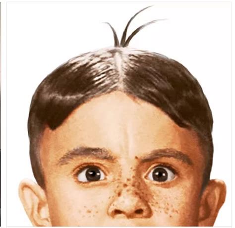 Alfalfa Of The Little Rascals Tv Show Premiered In 1955 Detective