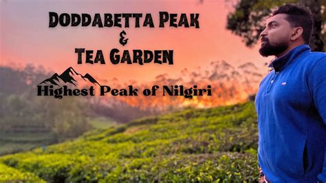 Doddabetta Peak Highest Peak Of Nilgiri 🔥🔥 Mesmerizing View From