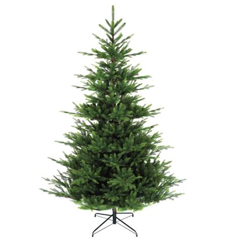7ft Pe Nordman Fir Christmas Tree
