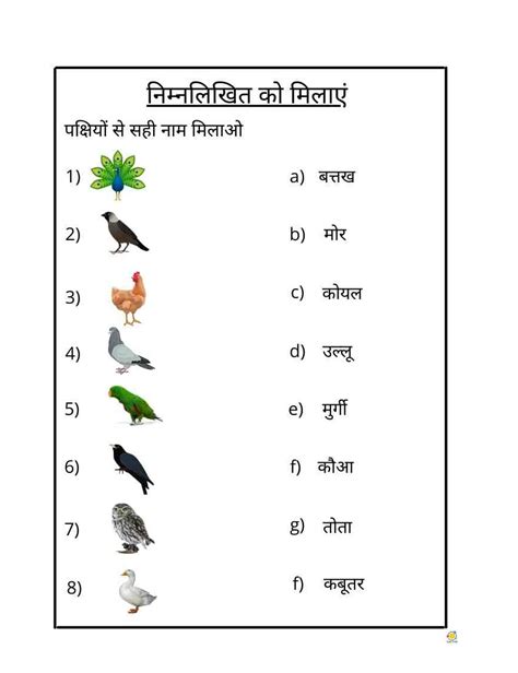 Bird Names In Hindi Teach On
