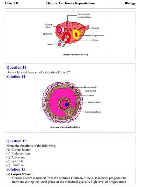 Ncert Solutions For Class 12 Biology Chapter 3 Free Pdfs