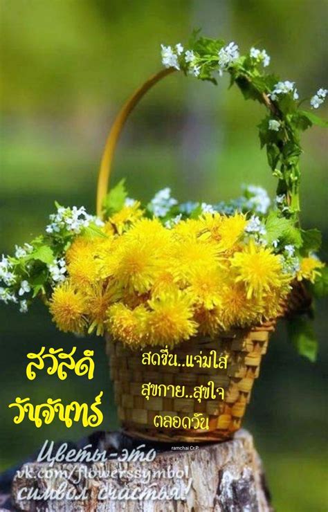 Pin by Ramchai Chuenbumrung on สวสดวนจนทร Good morning flowers Corporate flowers