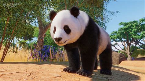 Planet Zoo 11 Most Popular Animal Attractions And 4 Least Popular