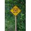 Odd Road Signs On Pinterest  Roads Funny And
