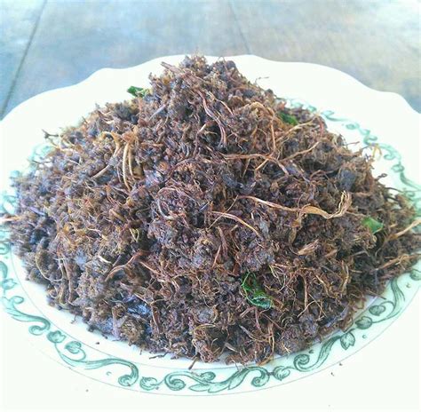 Cara menghilangkan bau amis pada daging. gambar: Gambar Abon Jantung Pisang