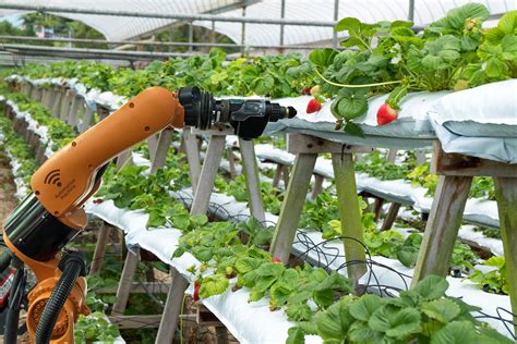 A Small Group Of Farm Robotics Startups Is Taking On Various Farming
