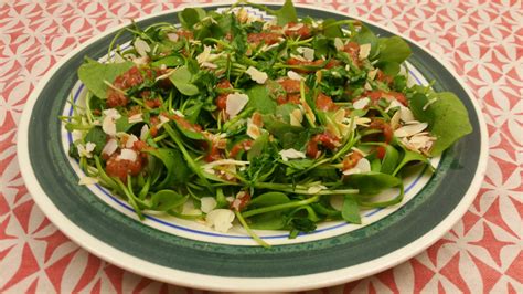 Winterpostelein Salade Met Paprika Dressing Kievitamines
