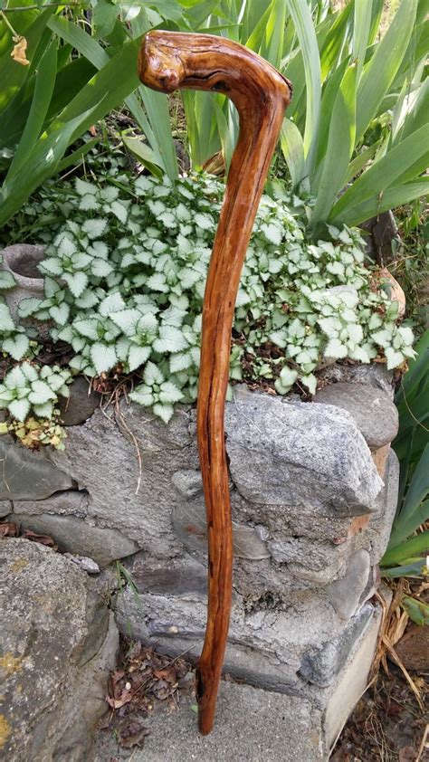 Rustic Natrually Curved Walking Cane Etsy