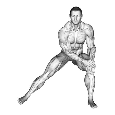 5 Best Adductor Stretches With Pictures Inspire Us