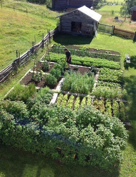 15 Herb And Vegetable Garden Ideas Yard Surfer