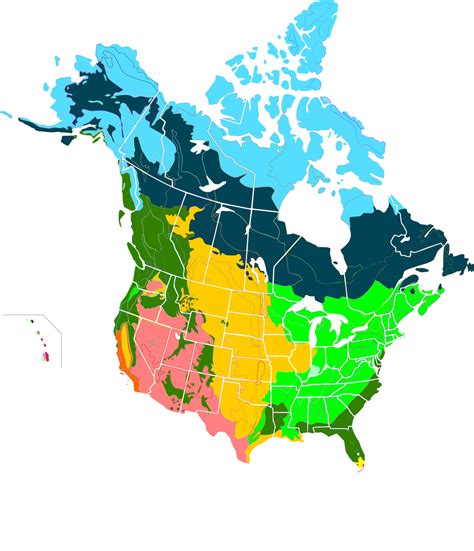 Boreal Forest Of Canada Wikipedia