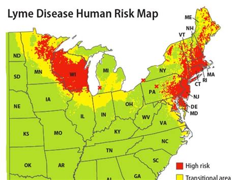 map pinpoints lyme disease high risk areas emerging regions toledo blade
