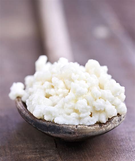 Kefir de fruits ou de lait