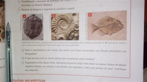 Analise A Imagem E Responda à Questão EDUCA