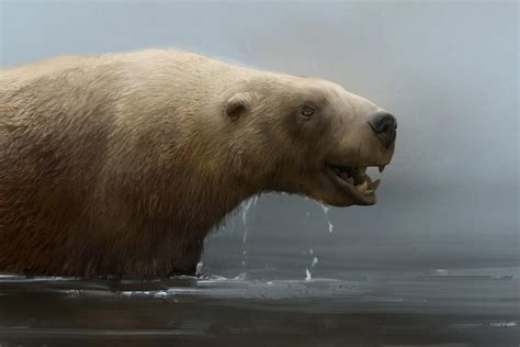Kolponomos The Otter Bear This Species Of Early Semi Aquatic Bear