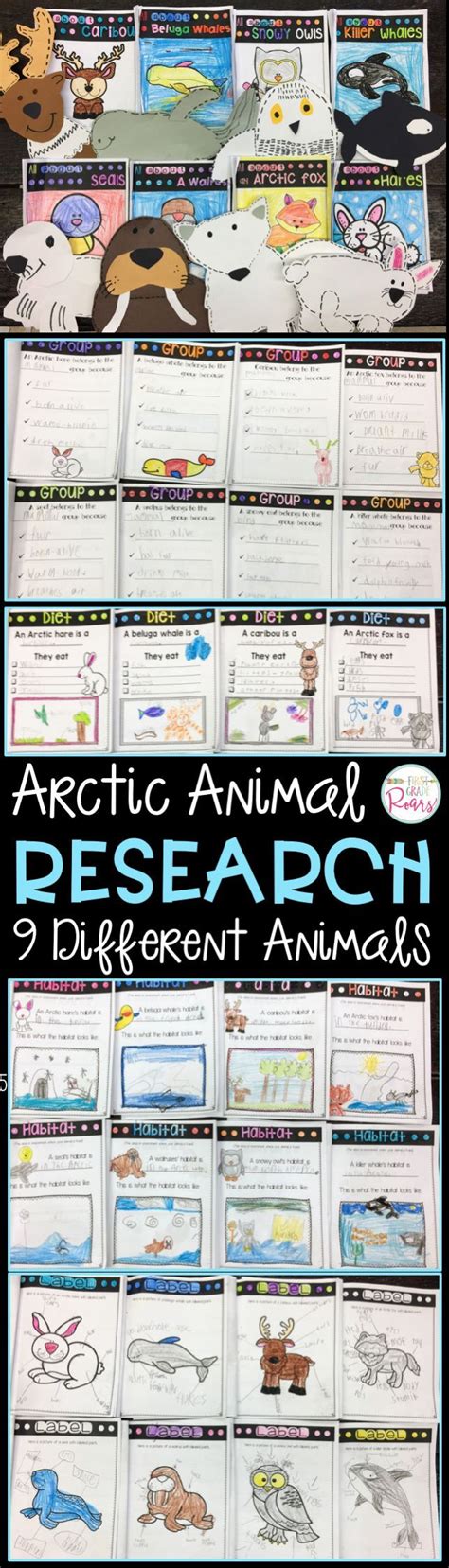 Arctic Animals Bundle Nonfiction Informational Text Reading Research