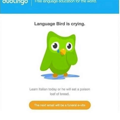 26 Duolingo Memes Thatll Strike Fear In Your Heart Memebase Funny