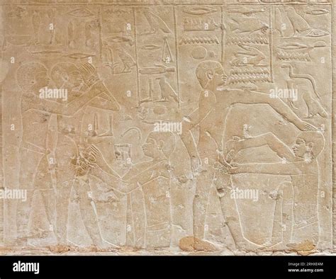 egypt saqqara tomb of ankhmahor famous and rare scene of